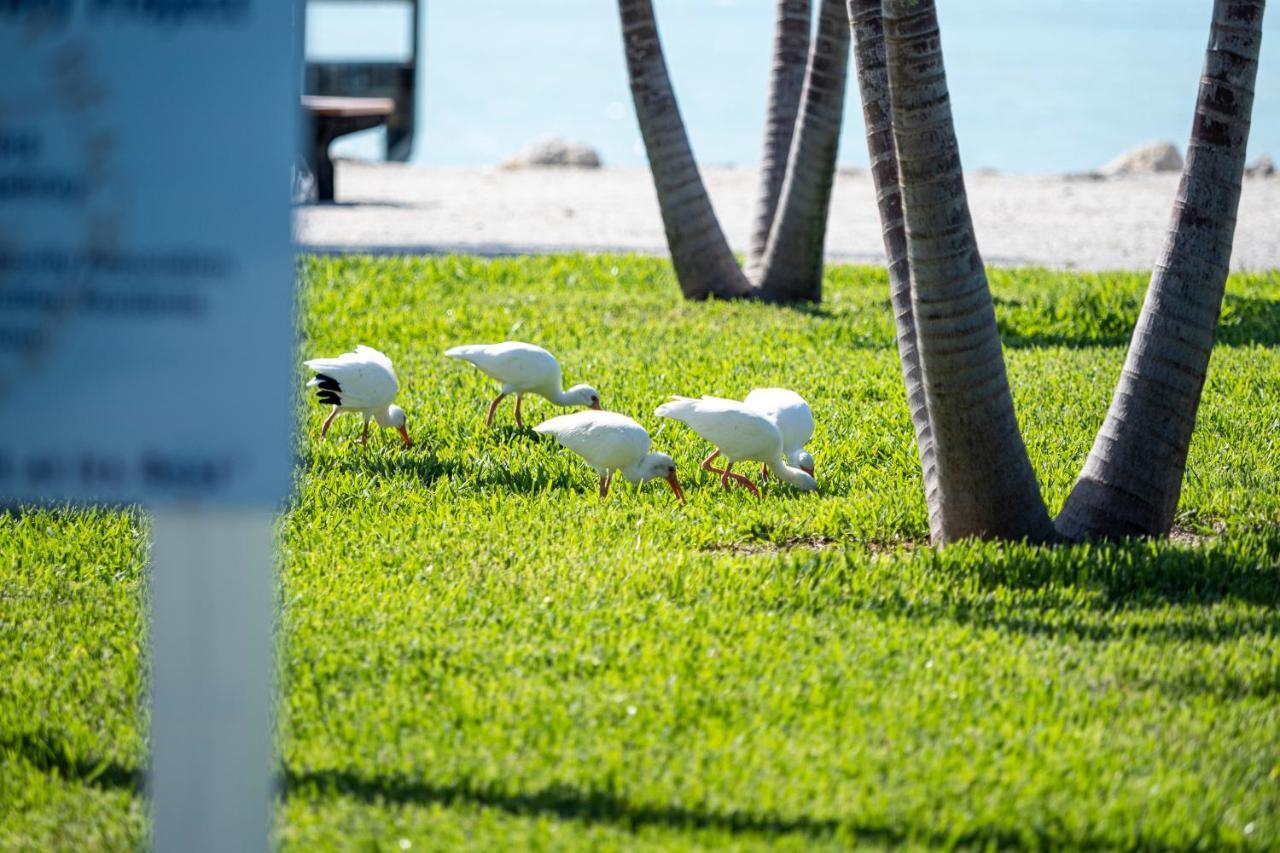 Key Colony Beach Newly Renovated 3Br2Ba Duplex With Private Dockヴィラ エクステリア 写真